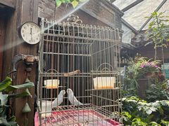 -束河人家(南锣鼓巷店)