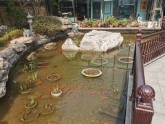 -聚缘堂·海鲜私房菜(松岭路店)