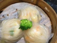 -新兴·金羊座·粤菜点心(乐峰店)
