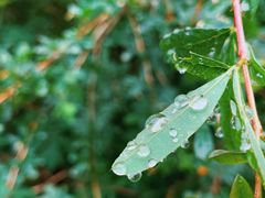 -碓臼峪自然风景区