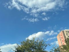 -上海交通大学医学院附属仁济医院(南院)