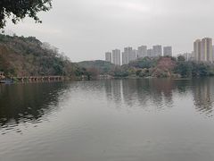 -重庆彩云湖湿地公园