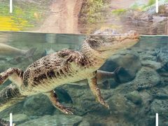 -上海海洋水族馆