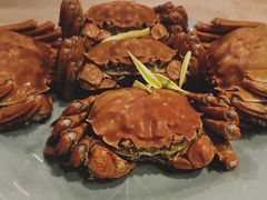 成隆行精选大闸蟹-成隆行·蟹王府(九江路店)