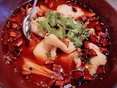 水煮鱼片-夜上海(新天地店)