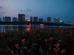 -南宁南湖公园