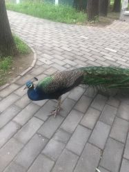 -萌宠亲子动物乐园(槐房万达店)