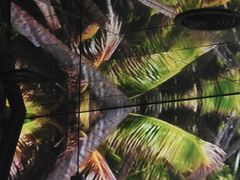 -大头椰·椰子鸡火锅(南宁万象城店)