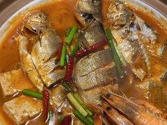 -船歌·鱼水饺青岛菜(金狮广场店)