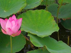 -天津东丽湖风景区