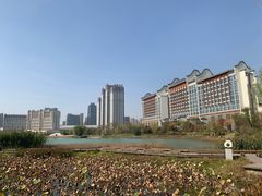 -合肥融创永乐半山酒店·永乐半山西餐厅
