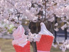 -上海辰山植物园