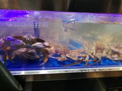 -盒马鲜生(枣园路店)