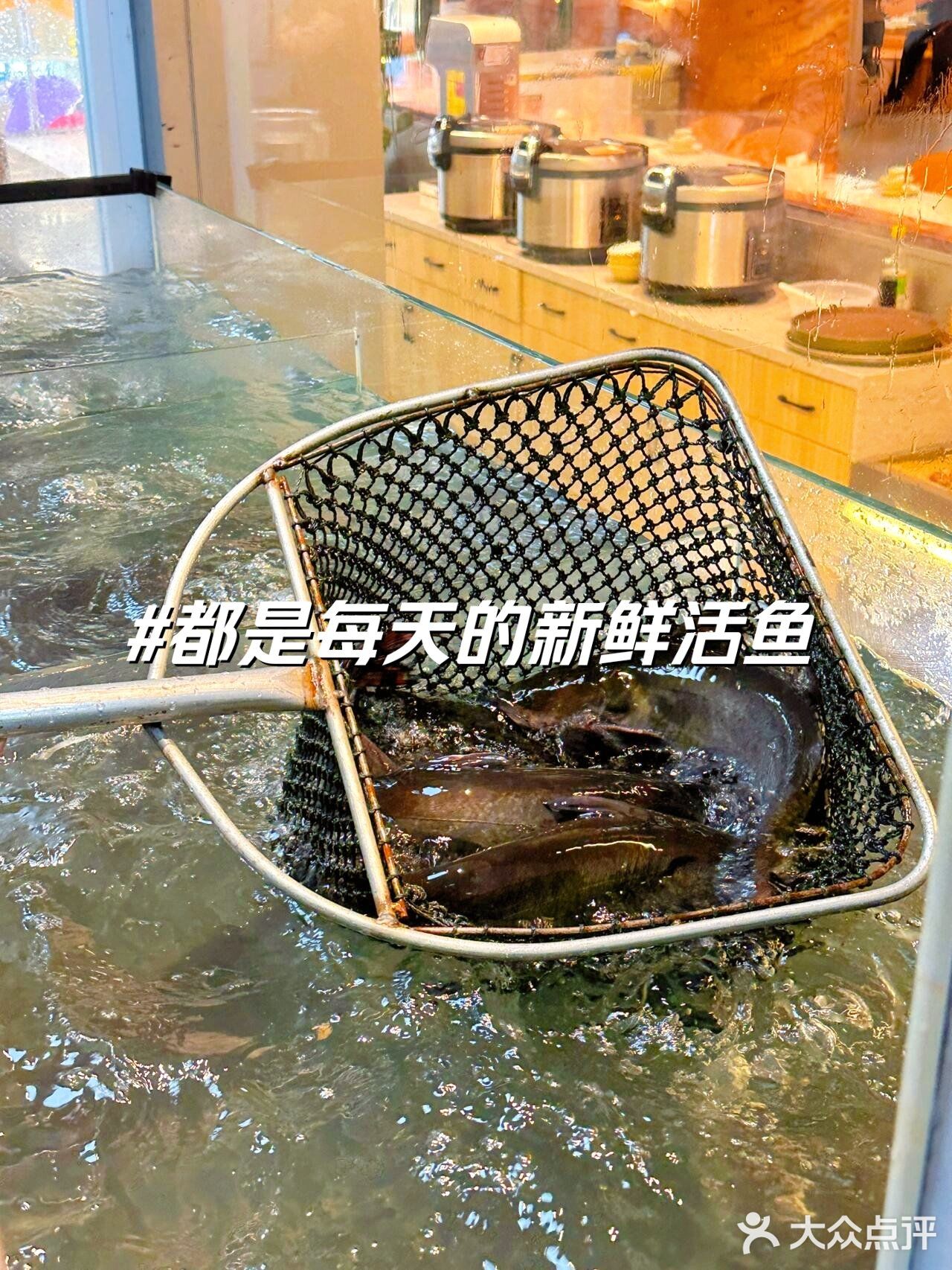 你说公主请吃烤鱼🐟🐟资深豆花爱好者