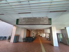 -香港大学