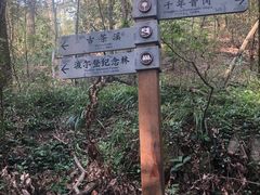 -波尔登森林公园