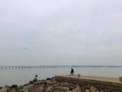 -宝安西湾红树林湿地公园