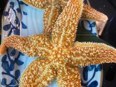 -真剑日本料理·铁板烧(贵州路店)