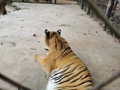-海南热带野生动植物园