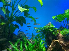 -太平洋海底世界