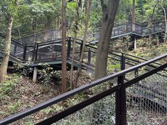 -灵顺寺