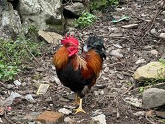 -楠溪江风景名胜区