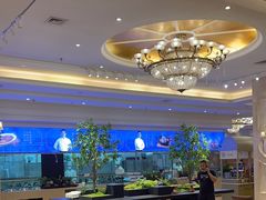 -锦粤宫·精致粤菜(深圳北站店)