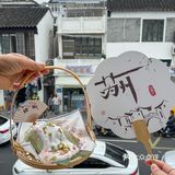 苏州！你可太会了！