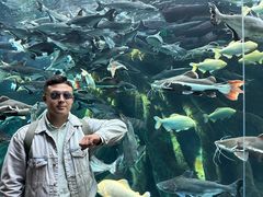 -波塞冬旅游度假区