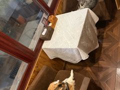 -隅cafe(傅厚岗店)