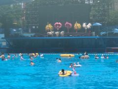 -杭州浪浪浪水公园