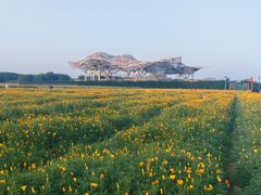 -江苏三台山国家森林公园