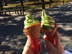 -豆政(金閣寺境内売店)