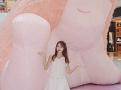 -岭南站NOVA