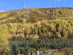 -塞罕坝国家级自然保护区