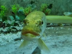 -东方巨龟苑景区