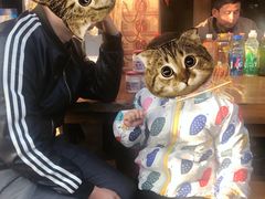 -茯茶镇