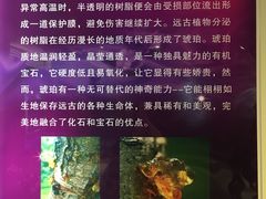 -上海昆虫博物馆