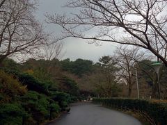 -汉拿树木园