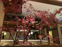 -揽季锅物会.福建黄鱼.海鲜姿造(五四路店)