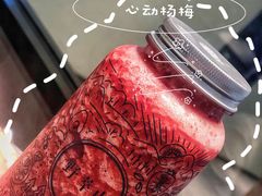 -野萃山·潮汕厚果汁(十亩地店)