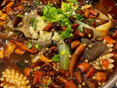 风味毛血旺-大鸭梨烤鸭(左家庄店)