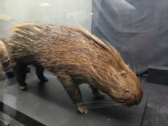 -昆明动物博物馆