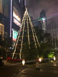 -莉泽月子中心(鹅潭汇店)