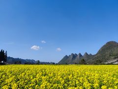 -万峰林风景区