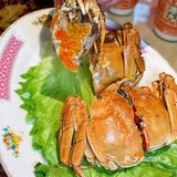 王者大排档，当然选这家