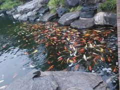 android_upload_pic-中国唐苑