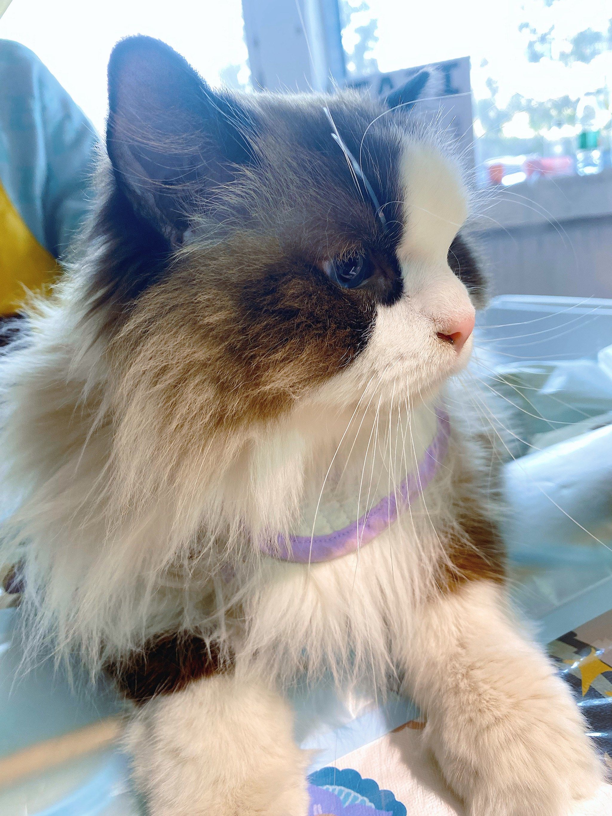 周末胡同安排city walk一定要路过一下禄米仓胡同～
因为"伙伴节市