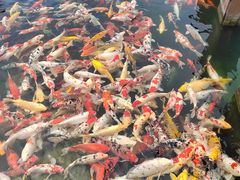 -宁波杭州湾国家湿地公园