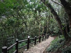 -上海佘山国家森林公园天马山园